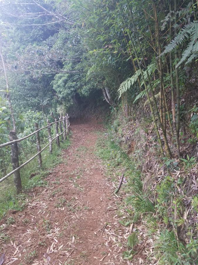 Escapadita al Bosque San Isidro  Exterior foto